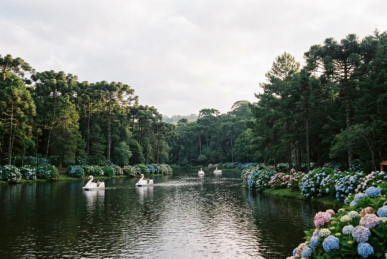 Lago Negro em Gramado com pedalinhos e hortênsias