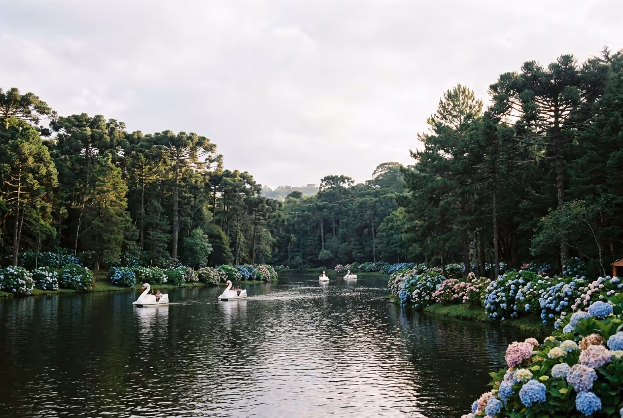 Lago Negro em Gramado com pedalinhos e hortênsias