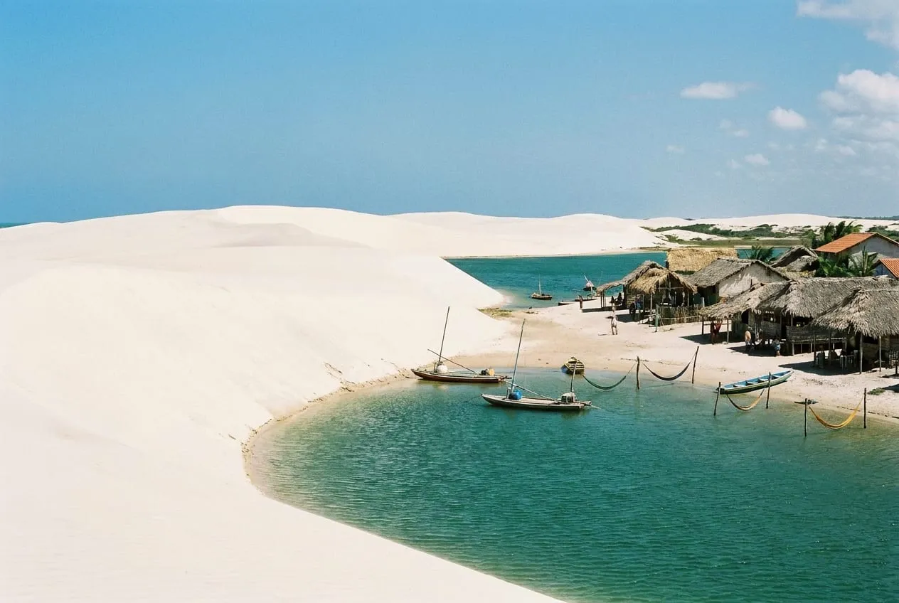 Tatajuba em jericoacoara