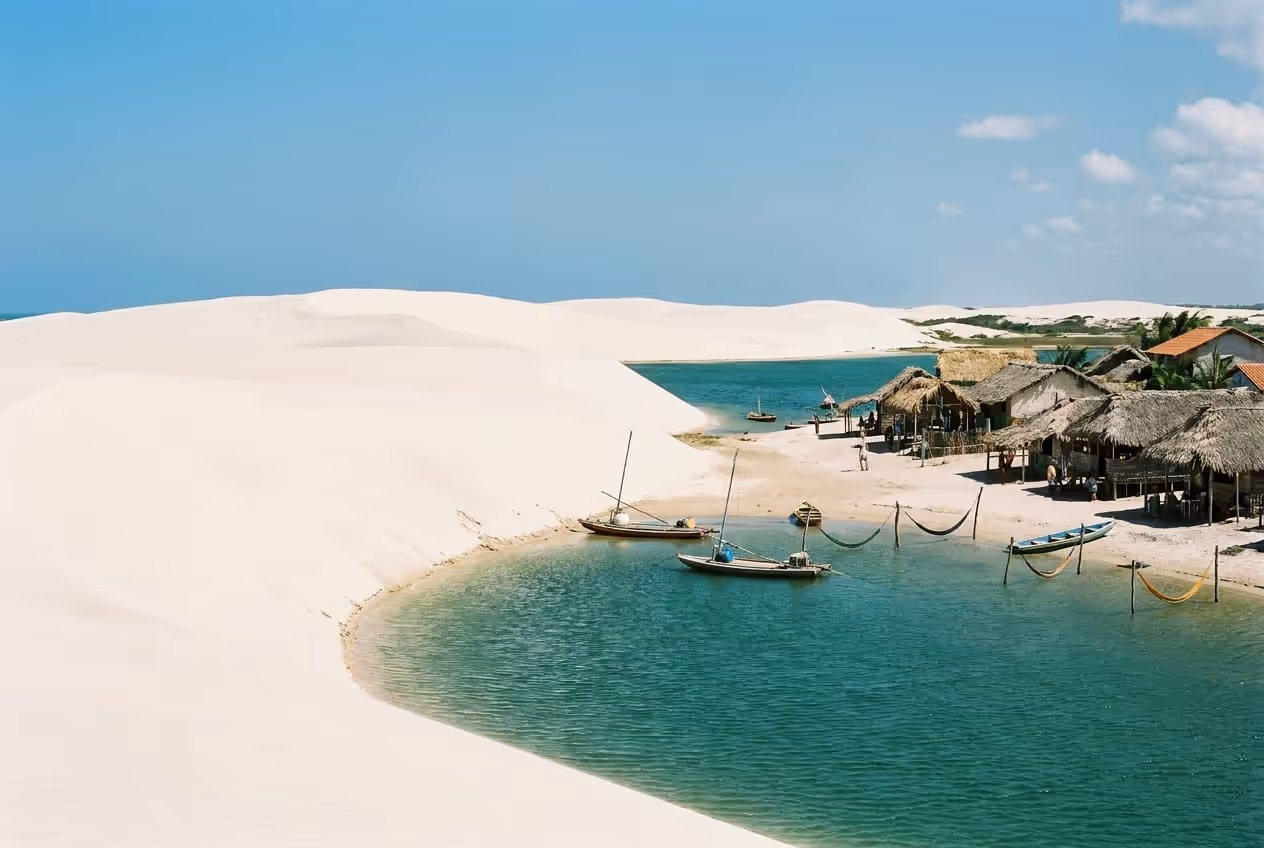 Tatajuba em jericoacoara