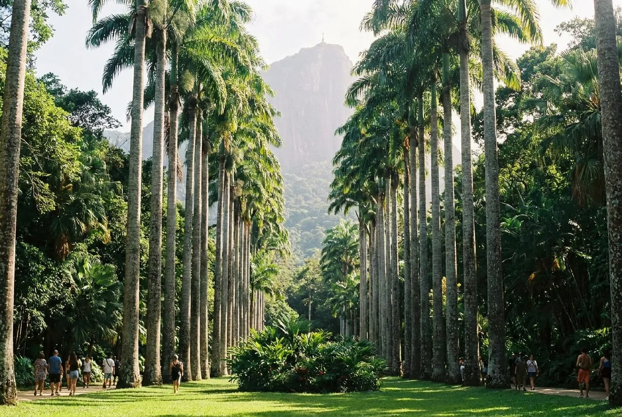 Jardim Botânico em rio de janeiro